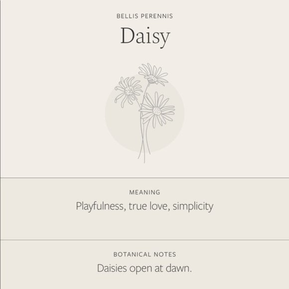 Daisy April Birth Flower Cute Gift Charm Necklace - Picture 6 of 15